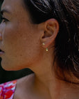 Dewdrops Stud Earrings - Gold / Silver