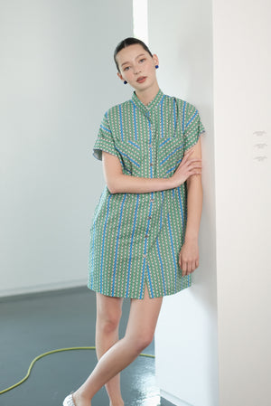 Edie Shirt Dress