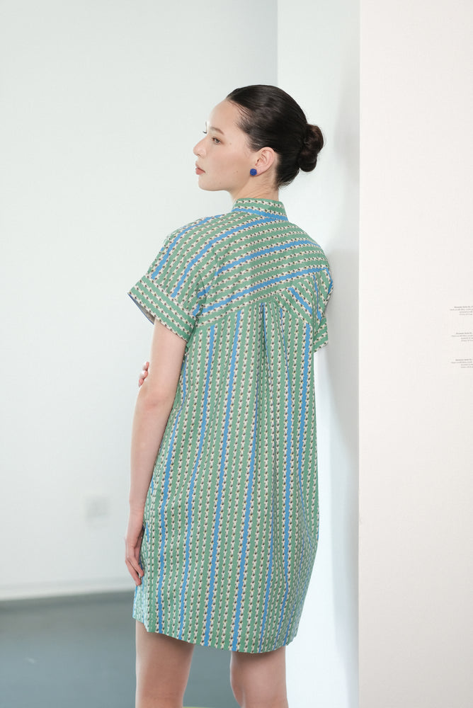 Edie Shirt Dress