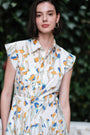 Melise Shirt Dress