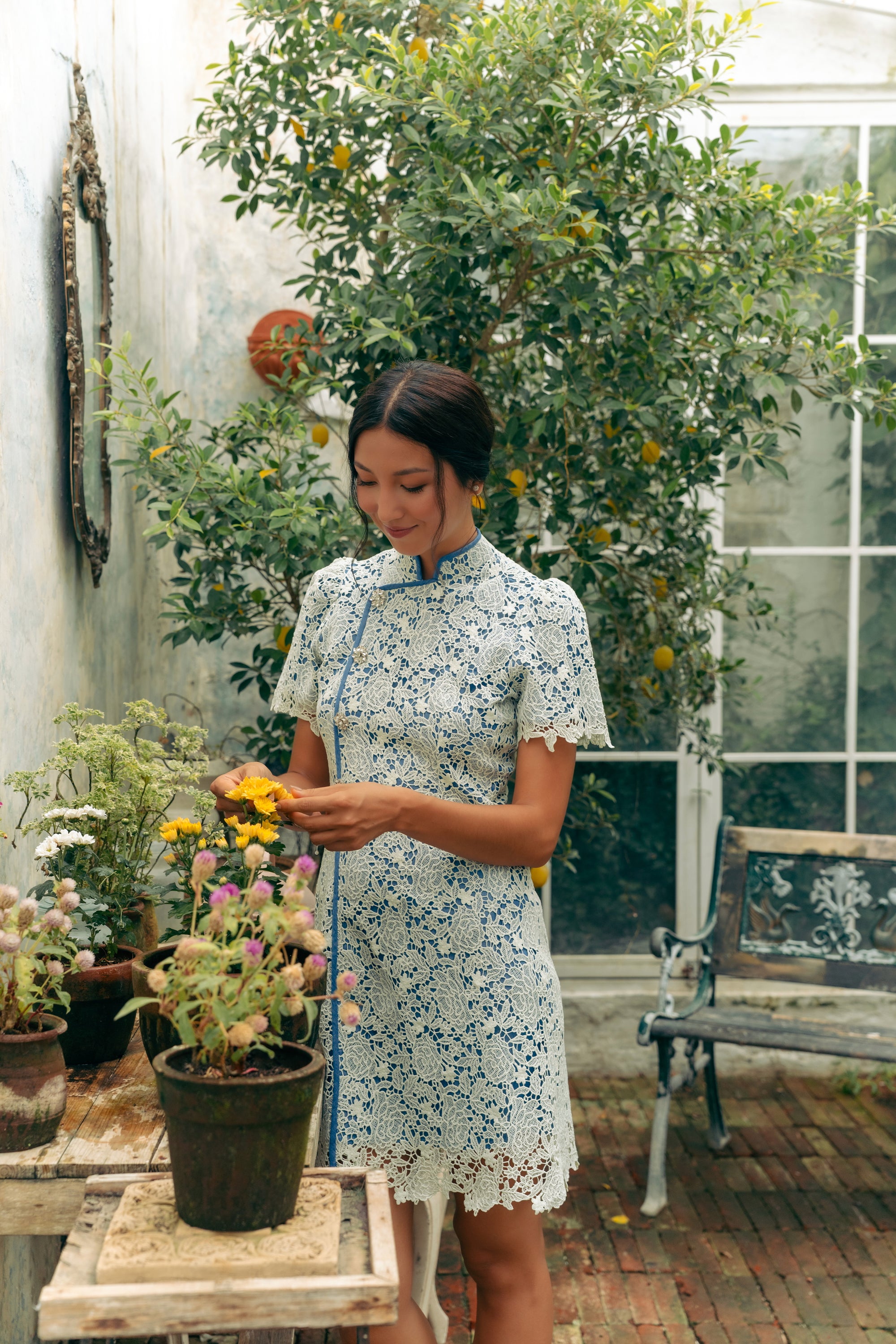 Aimee Lace Cheongsam